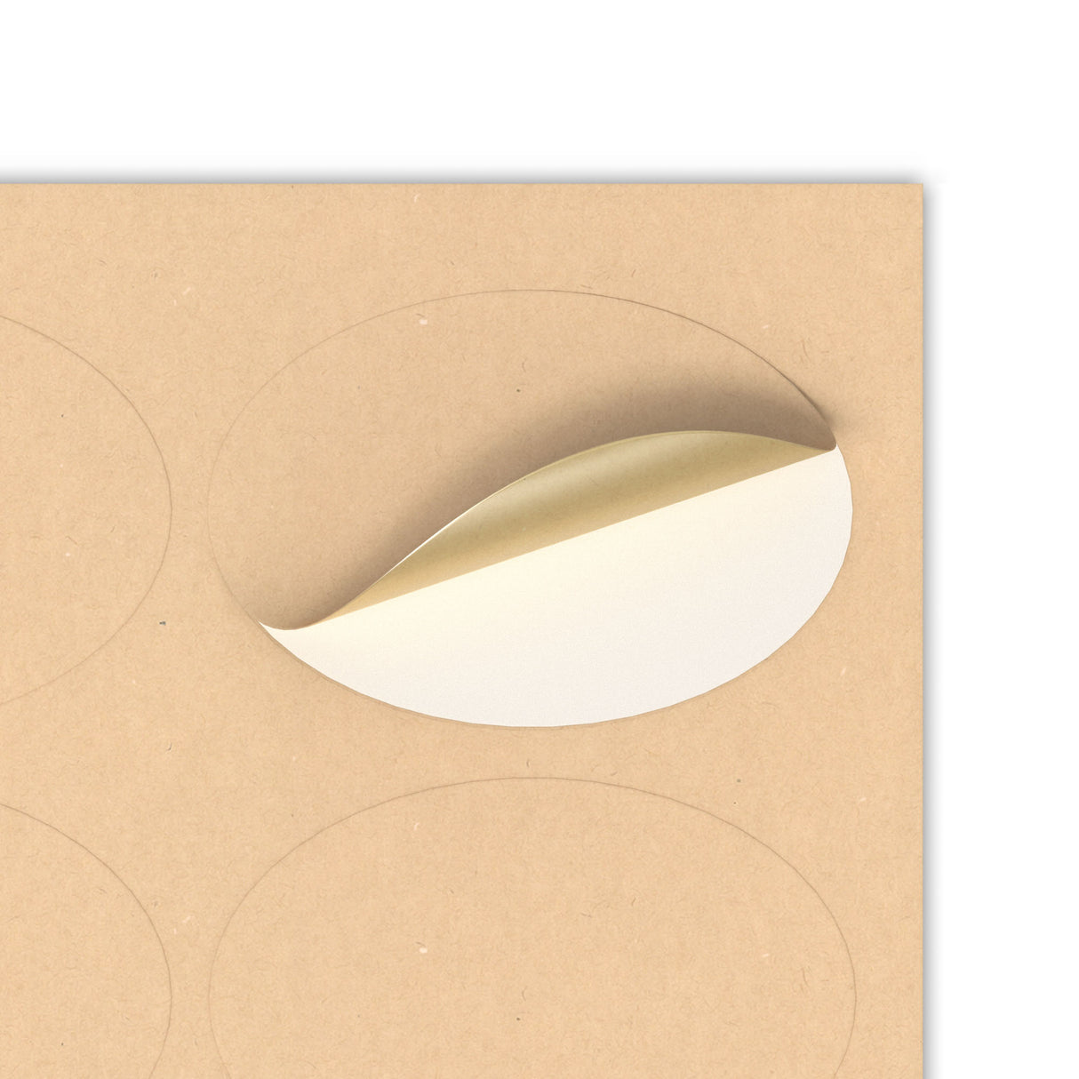 Etiquetas adhesivas ovaladas