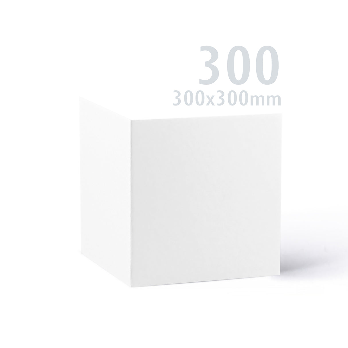 Tarjeta Premier blanca 300x300 250 g/m² pack
