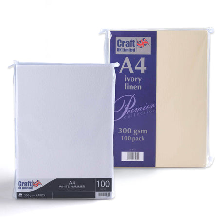 Tarjeta 300 g/m² pack de 100 unidades