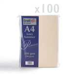 Tarjeta 300 g/m² pack de 100 unidades