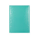 Gloss Finish Bubble Bag Mailers Robin Egg Blue 250 x 180 mm