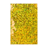 Bolsas de aluminio metalizadas holográficas